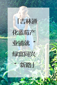 吉林通化蓝莓产业铺就“绿富同兴”新路