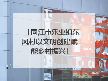 同江市乐业镇东风村以文明创建赋能乡村振兴