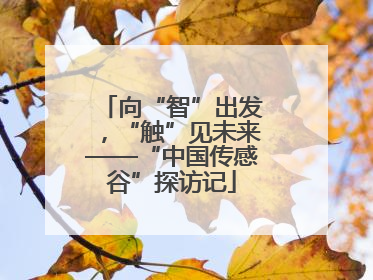 向“智”出发，“触”见未来——“中国传感谷”探访记