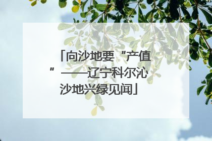 向沙地要“产值”——辽宁科尔沁沙地兴绿见闻