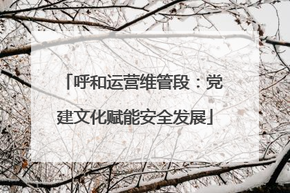 呼和运营维管段：党建文化赋能安全发展