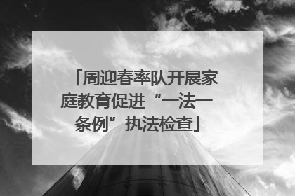 周迎春率队开展家庭教育促进“一法一条例”执法检查