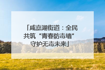 咸嘉湖街道：全民共筑“青春防毒墙” 守护无毒未来