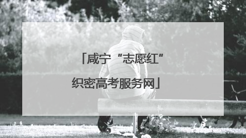 咸宁“志愿红”织密高考服务网