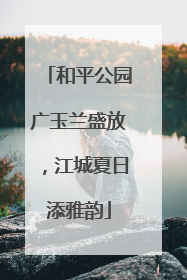 和平公园广玉兰盛放，江城夏日添雅韵