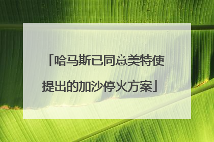 哈马斯已同意美特使提出的加沙停火方案