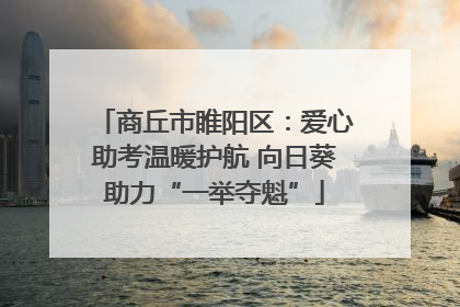 商丘市睢阳区：爱心助考温暖护航 向日葵助力“一举夺魁”