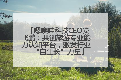 嗯噢哇科技CEO窦飞鹏：共创旅游专业能力认知平台，激发行业“自生长”力量