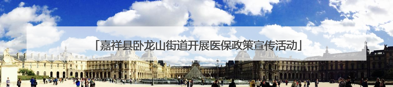 嘉祥县卧龙山街道开展医保政策宣传活动