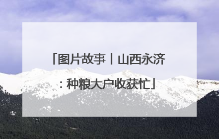 图片故事丨山西永济：种粮大户收获忙