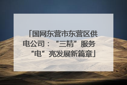 国网东营市东营区供电公司：“三精”服务“电”亮发展新篇章