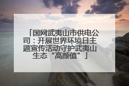 国网武夷山市供电公司：开展世界环境日主题宣传活动守护武夷山生态“高颜值”