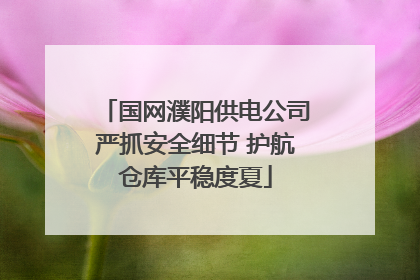 国网濮阳供电公司严抓安全细节 护航仓库平稳度夏