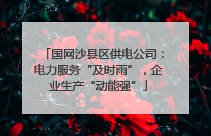 国网沙县区供电公司：电力服务“及时雨”，企业生产“动能强”