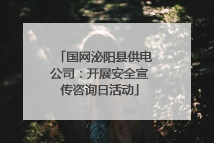 国网泌阳县供电公司：开展安全宣传咨询日活动