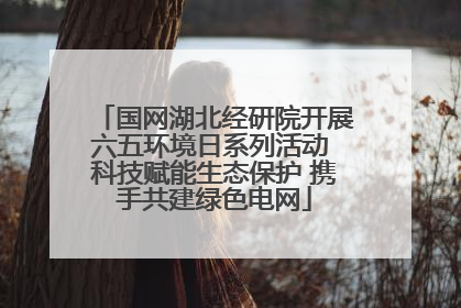 国网湖北经研院开展六五环境日系列活动 科技赋能生态保护 携手共建绿色电网
