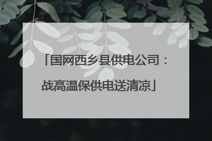 国网西乡县供电公司：战高温保供电送清凉