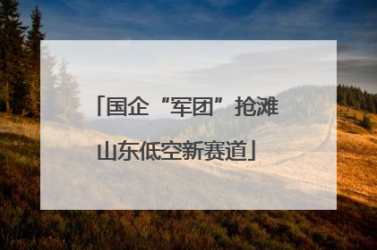 国企“军团”抢滩山东低空新赛道
