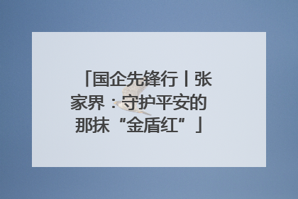 国企先锋行丨张家界：守护平安的那抹“金盾红”