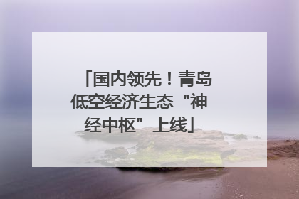 国内领先！青岛低空经济生态“神经中枢”上线