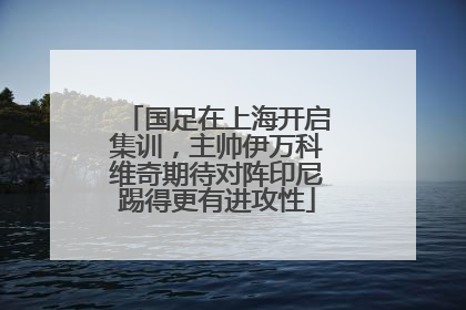 国足在上海开启集训，主帅伊万科维奇期待对阵印尼踢得更有进攻性
