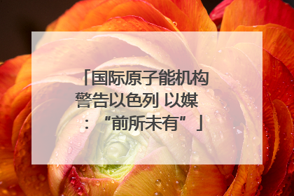 国际原子能机构警告以色列 以媒：“前所未有”