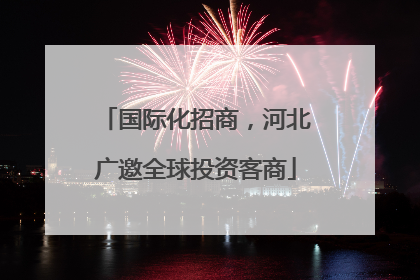 国际化招商，河北广邀全球投资客商