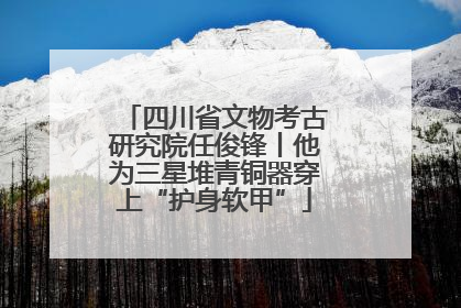 四川省文物考古研究院任俊锋丨他为三星堆青铜器穿上“护身软甲”