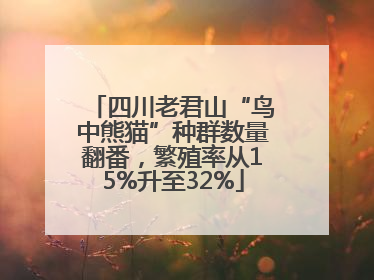 四川老君山“鸟中熊猫”种群数量翻番，繁殖率从15%升至32%