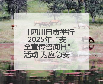 四川自贡举行2025年“安全宣传咨询日”活动 为应急安全公益短视频获奖者颁奖