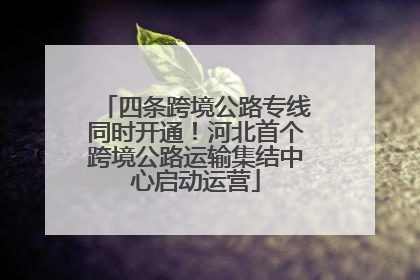 四条跨境公路专线同时开通！河北首个跨境公路运输集结中心启动运营