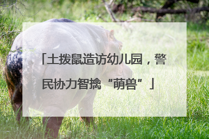 土拨鼠造访幼儿园，警民协力智擒“萌兽”