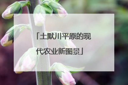 土默川平原的现代农业新图景