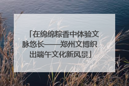 在绵绵粽香中体验文脉悠长——郑州文博织出端午文化新风景