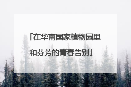 在华南国家植物园里和芬芳的青春告别