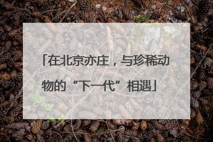 在北京亦庄，与珍稀动物的“下一代”相遇