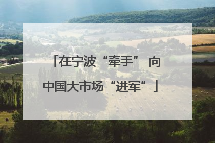 在宁波“牵手” 向中国大市场“进军”