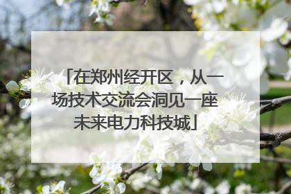 在郑州经开区，从一场技术交流会洞见一座未来电力科技城