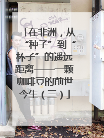 在非洲，从“种子”到“杯子”的遥远距离——一颗咖啡豆的前世今生（三）