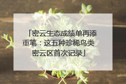 密云生态成绩单再添重笔：这五种珍稀鸟类密云区首次记录