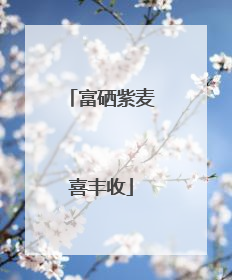 富硒紫麦喜丰收