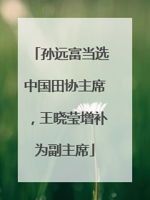 孙远富当选中国田协主席，王晓莹增补为副主席