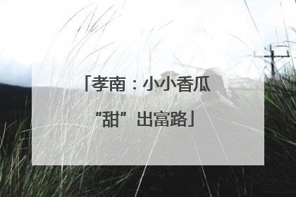 孝南：小小香瓜 “甜”出富路