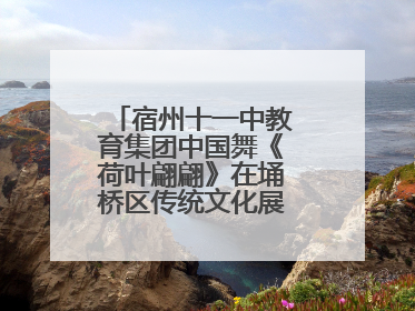 宿州十一中教育集团中国舞《荷叶翩翩》在埇桥区传统文化展演中大放异彩