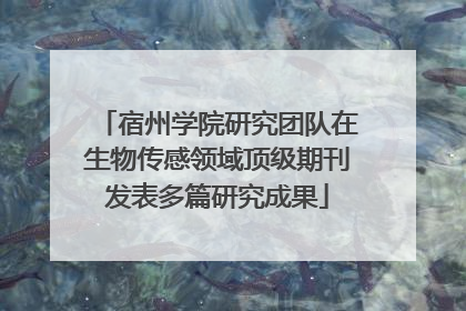 宿州学院研究团队在生物传感领域顶级期刊发表多篇研究成果