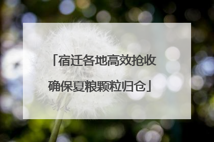 宿迁各地高效抢收 确保夏粮颗粒归仓