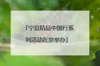 宁夏精品中国行系列活动在京举办