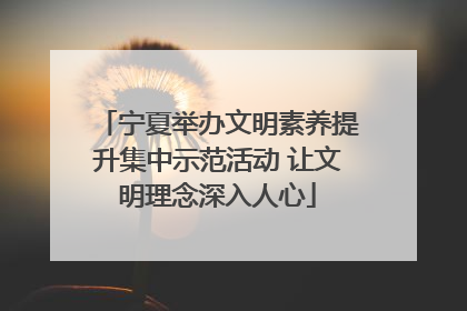 宁夏举办文明素养提升集中示范活动 让文明理念深入人心