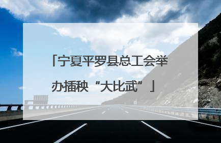 宁夏平罗县总工会举办插秧“大比武”