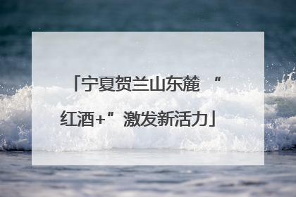 宁夏贺兰山东麓 “红酒+”激发新活力